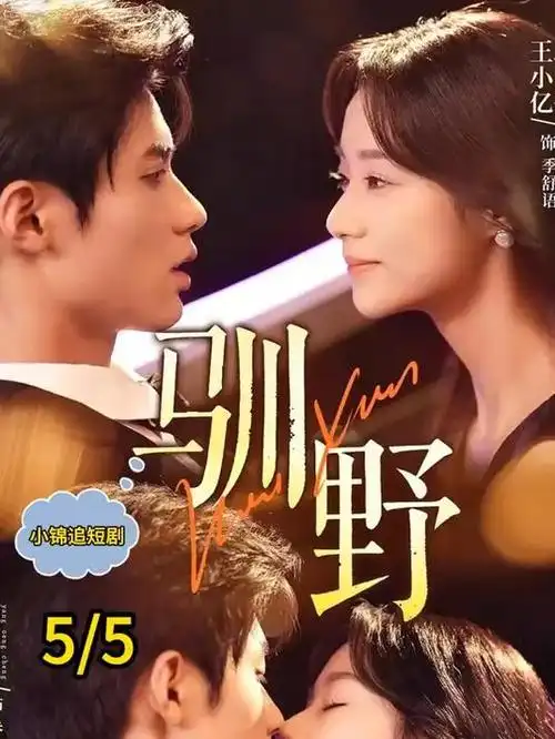 暗巷灯影热播电视剧全集